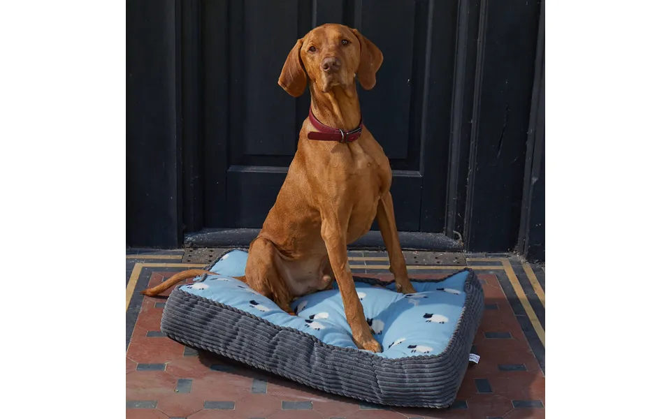 Counting Sheep L Gusset Mattress
