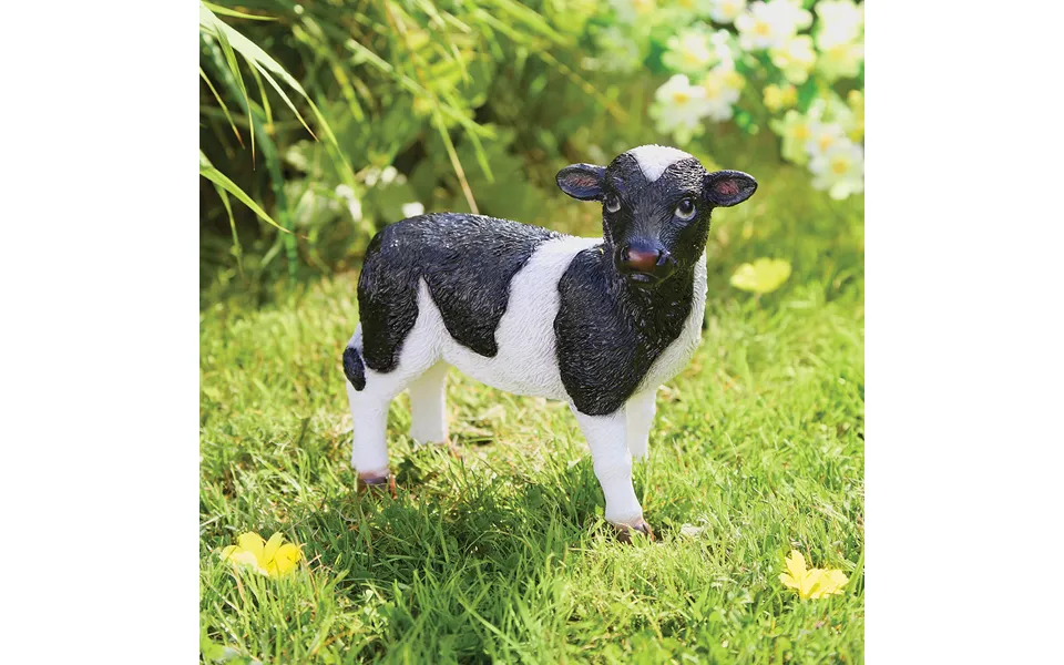 Daisy Baby Cow