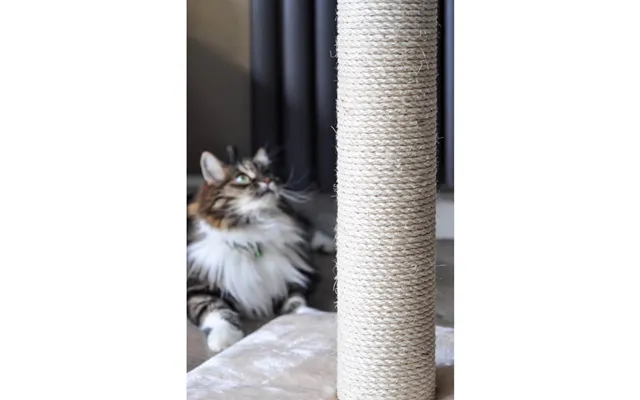 Deluxe 0.5m Scratch Post