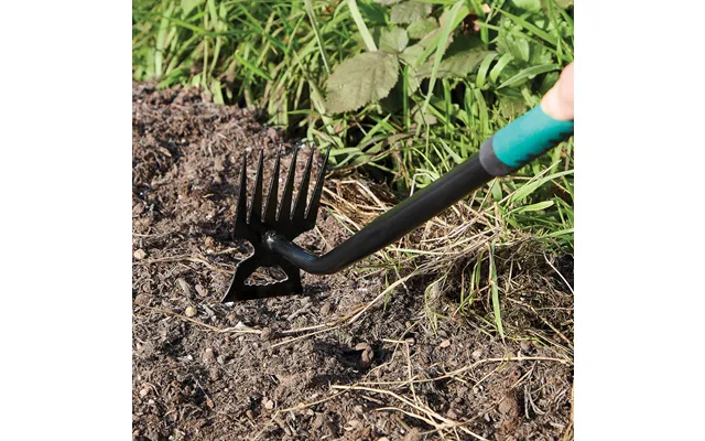 Dual Headed Weeder