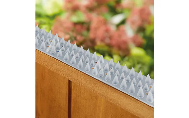 Fence Spikes Clear Pack Of 10 L48.8 X W4.2 X D1.8cm
