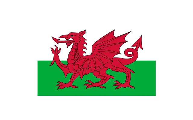 Flag Of Wales 1.6m X 90cm
