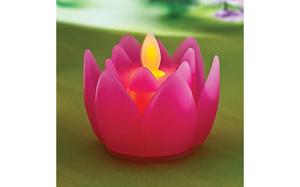 Fuschia Lotus With Led