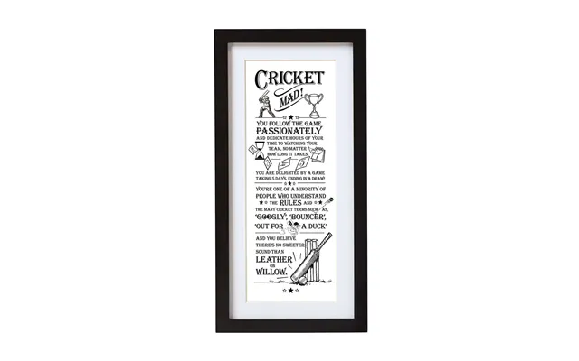 Gift For Man Wall Art Cricket