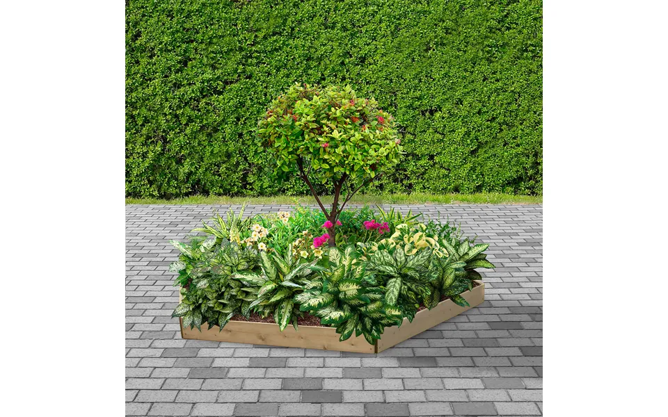 Hexagonal Raised Bed 1 Tier 15cm Extra Large 120cm
