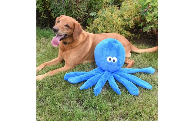 Jumbo Octo Poochie