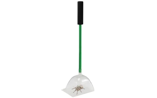 Katchabug Big Bug Katcha product image