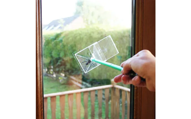 Katchabug Spider & Bug Catcher product image