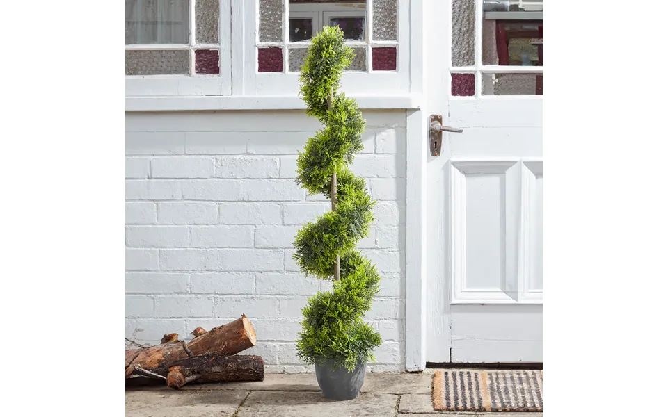 Large Cyprus Tree
