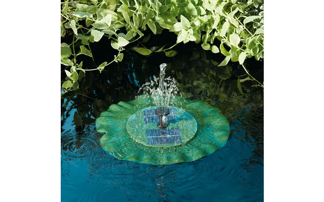 Lily Fountain