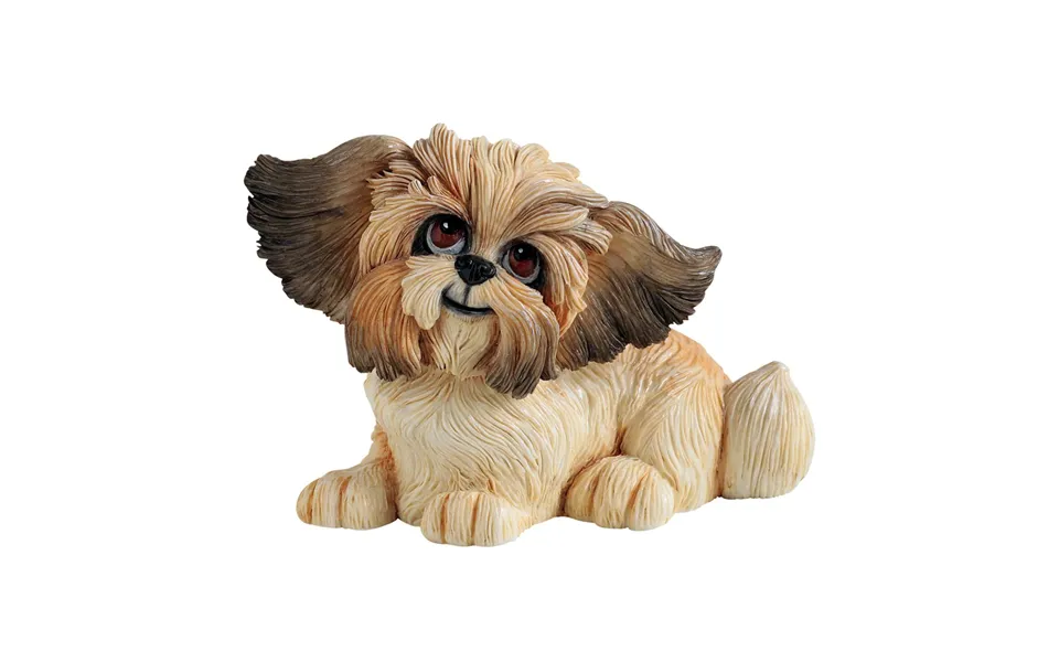 Little Paws - Gizmo