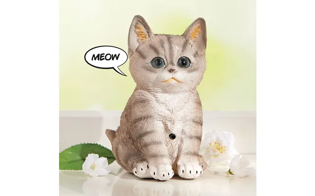 Meowing Cat
