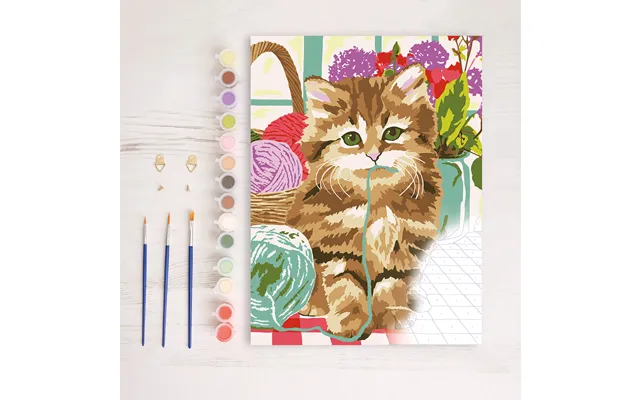 Paint By Numbers Cat