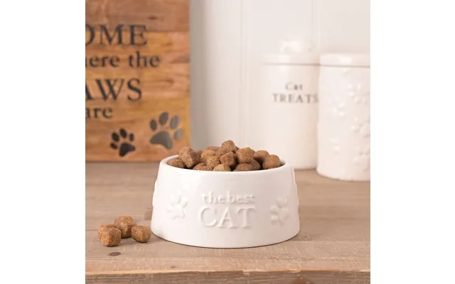 Paw Prints Small Cat Bowl The Best Cat