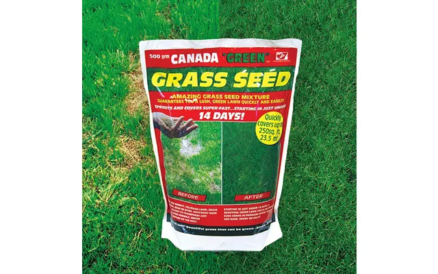 Perfect Grass Canada Green Grass Seed 500g product image