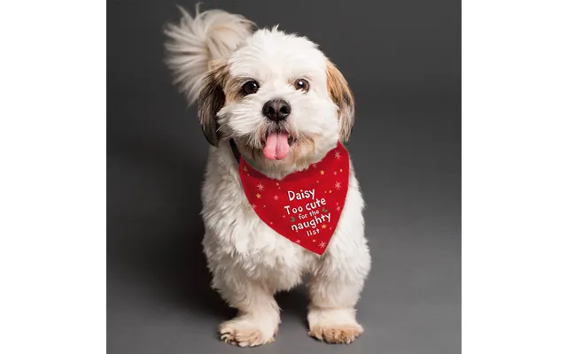 Personalised Too Cute For The Naughty List Dog Bandana
