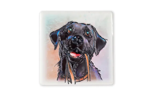 Pk4 Black Labrador Magnet