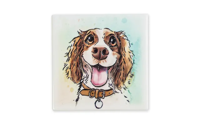 Pk4 Springer Spaniel Magnet