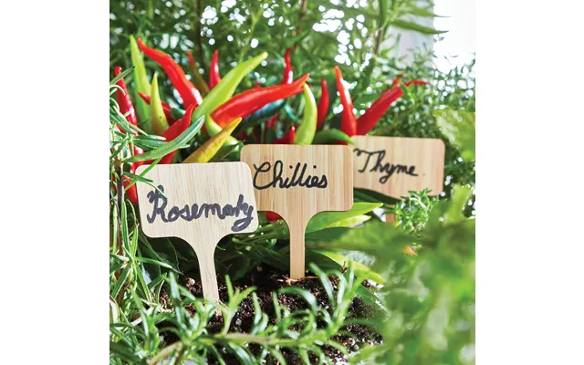 Plant Sign With A Pen Set Of 50 Twin Pack