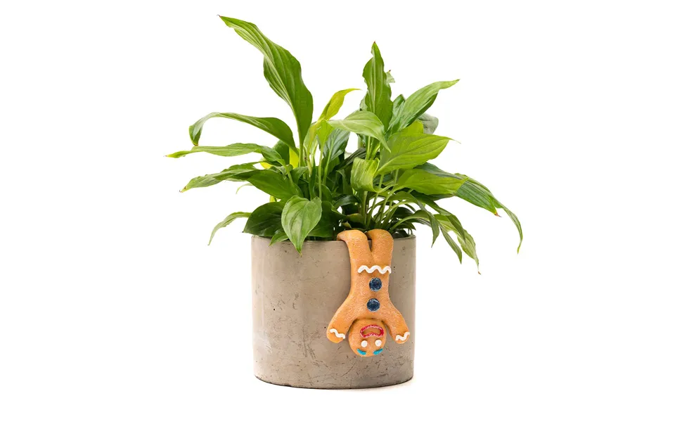 Pot Buddies - Gingerbread Man