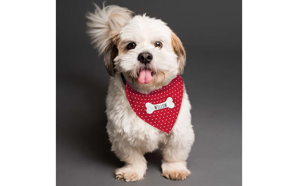 Red Polka Dot Dog Bandana Personalised