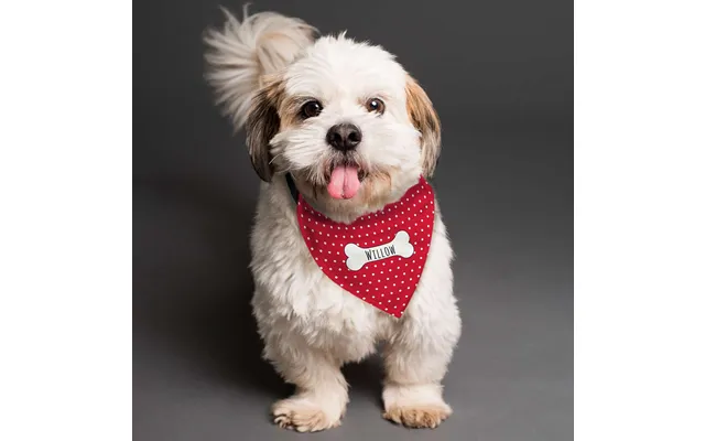 Red Polka Dot Dog Bandana Personalised product image