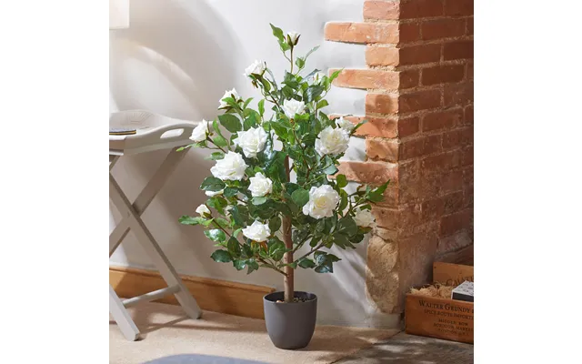Regent's Roses 80cm product image