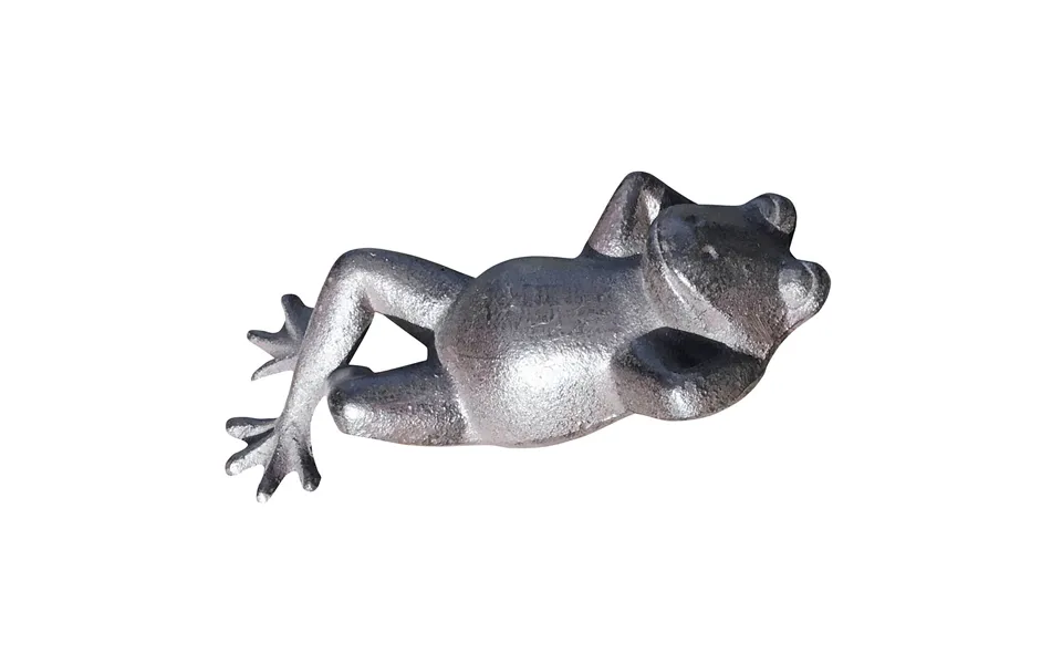 Relaxed Frog Lying Down