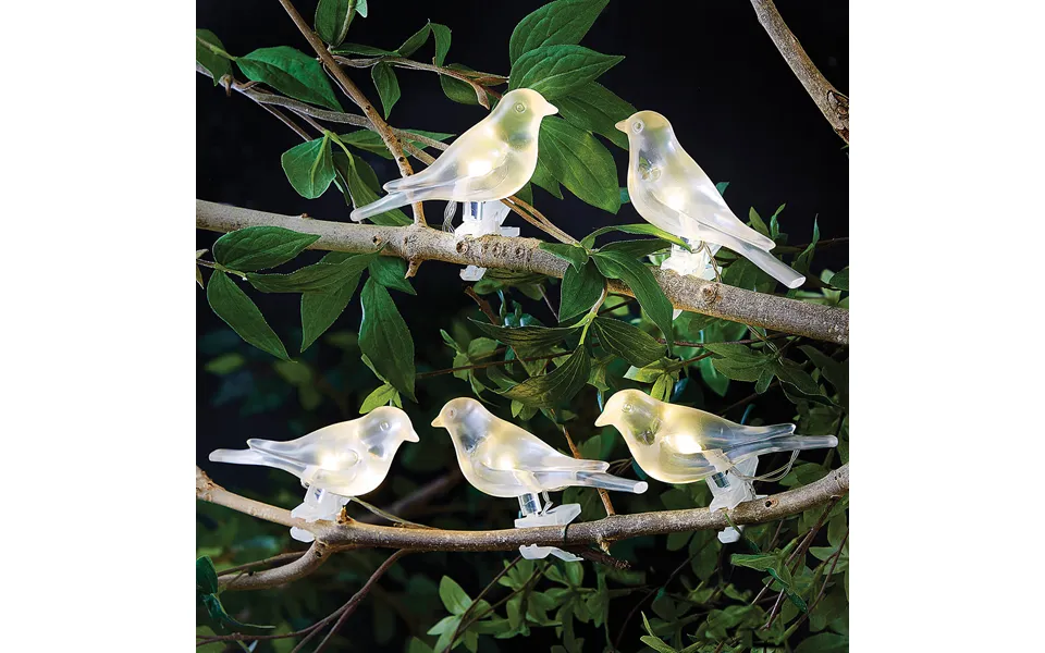 Set 5 Solar Bird Clips
