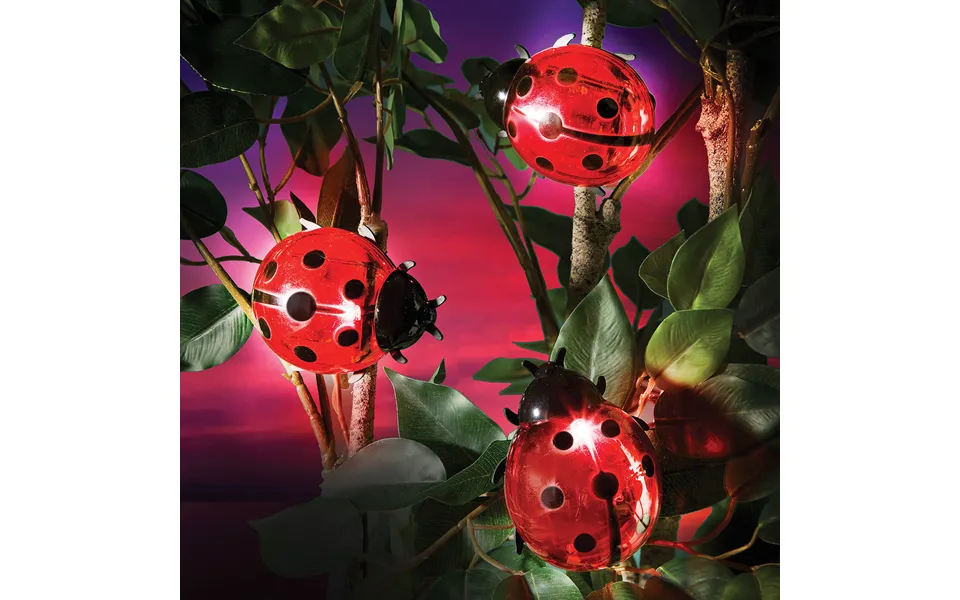 Set Of 3 Solar Ladybird Clips