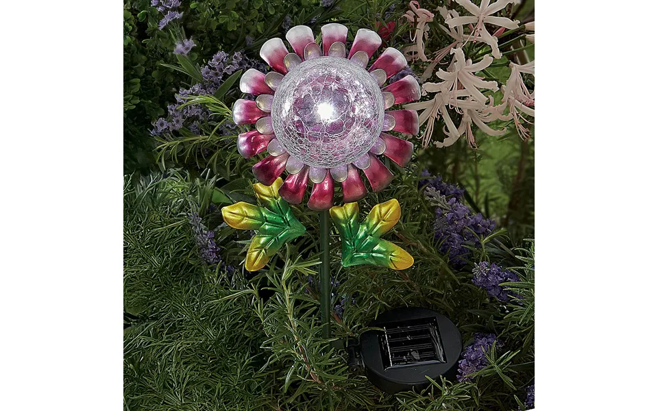 Solar Flower Pink