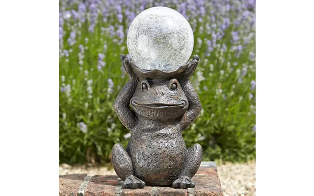 Solar Gazing Frog