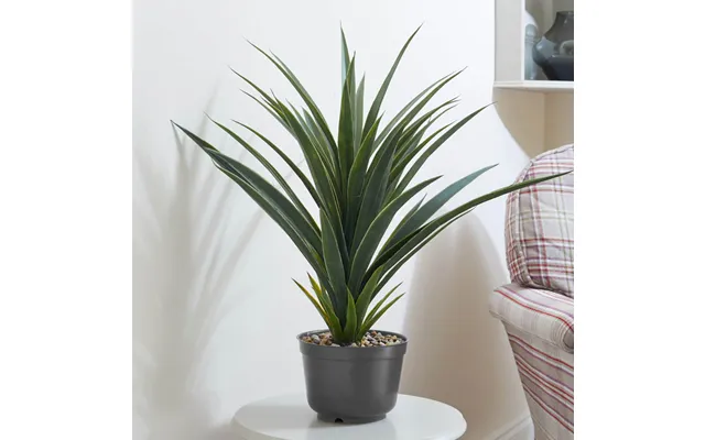 Spiky Sisal Potted Plant product image