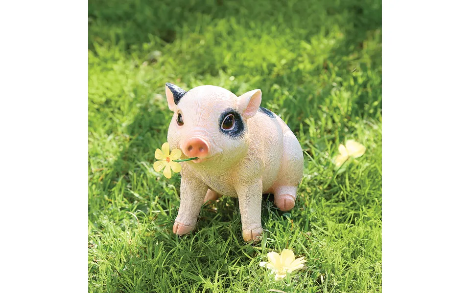 Squiggles The Baby Pig Sitting