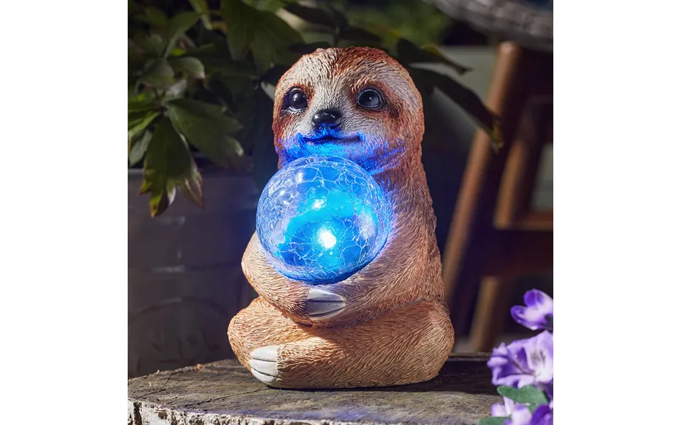 Star Gazing Sloth