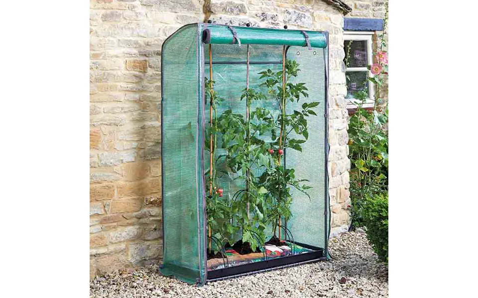Tomato Grozone