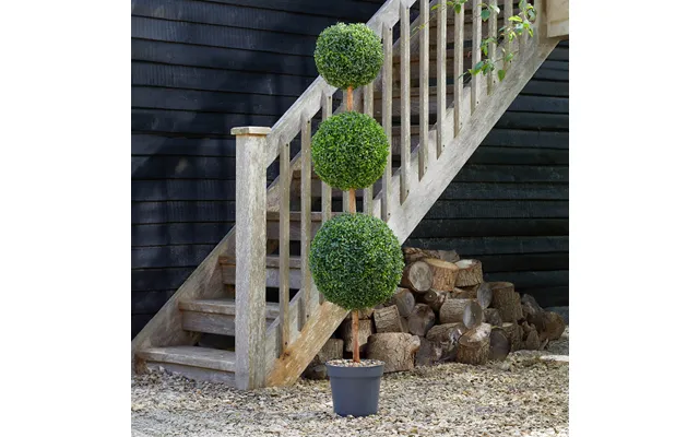 Trio Topiary Tree - 150cm