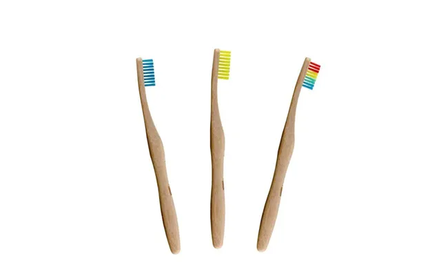 Bamboo Toothbrush Kit