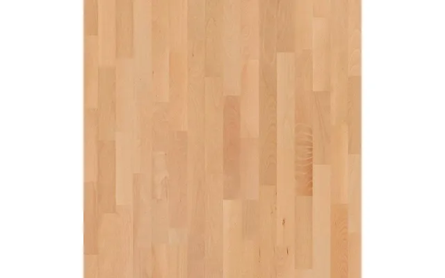 Basketball Court Flooring - Boen Boflex Stadium