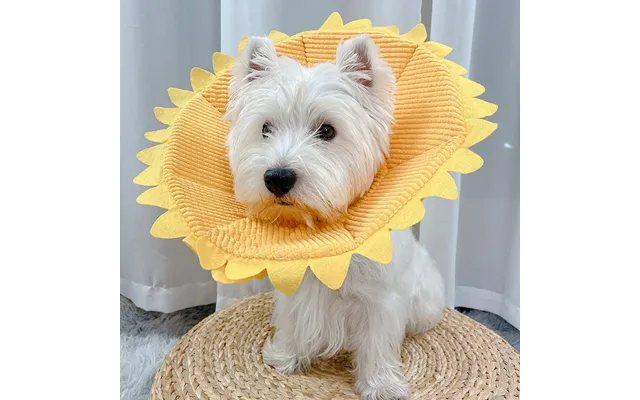 Cat Neck Ornaments Small Dogs Medium-sized Anti-licking Headgear Soft Shame Circle - Sunflower Xl