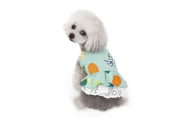 Cute Cotton Pet Dog Skirt Thin Clothes - B M