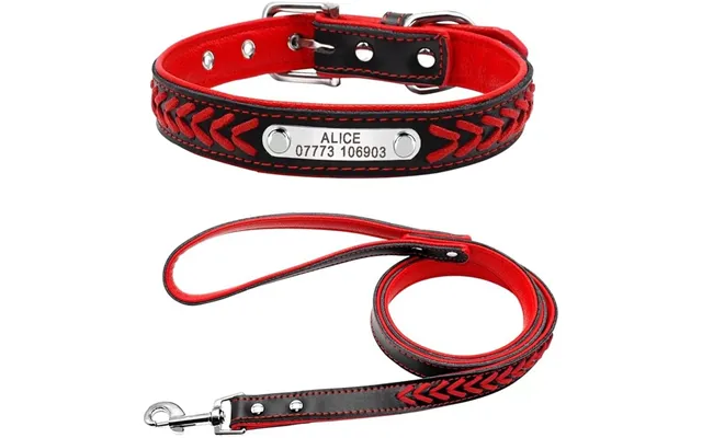 Engraving Anti-lost Dog Tag - Red M