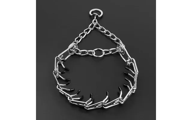 Metal Iron Removable Dog Training Chain - Upgrade 2.5mmx45cm