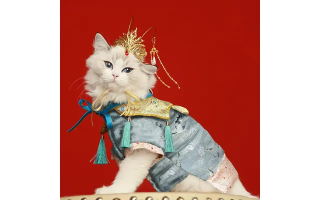 New Pet Hanfu Clothes Dress Gift Box - Offering Gift Box Blue L