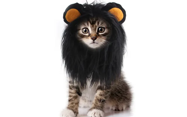 Pet Cat Headgear Wig Hat Pet Cat Funny Dress Up, Puppy Cat Cat Clothing Lion Headgear - Black L
