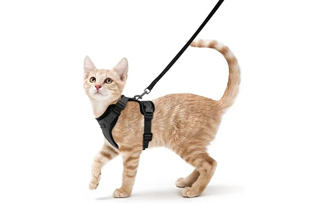 Pet Cat Vest Type Adjustable Anti Breakaway Leash - Black Xs