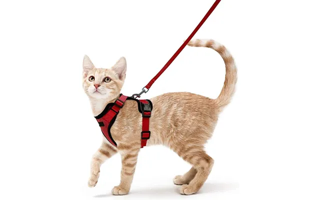 Pet Cat Vest Type Adjustable Anti Breakaway Leash - Red Xs