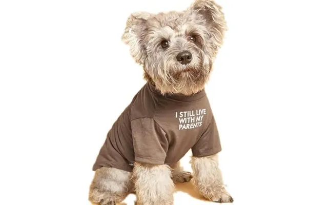 Pet Clothes Round Neck T-shirt - Khaki S