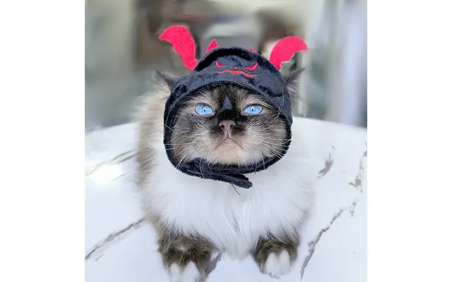 Pet Headgear Cute Dog Teddy Dress Up Sunflower Cat Headdress Wig Cat Headgear Hat - B04415 Black Average Size
