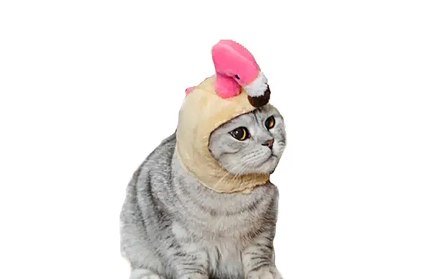Pet Headgear Cute Dog Teddy Dress Up Sunflower Cat Headdress Wig Cat Headgear Hat - Flamingo Average Size